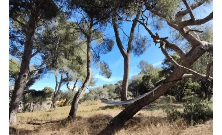 Ecrin De Verdure Marseille